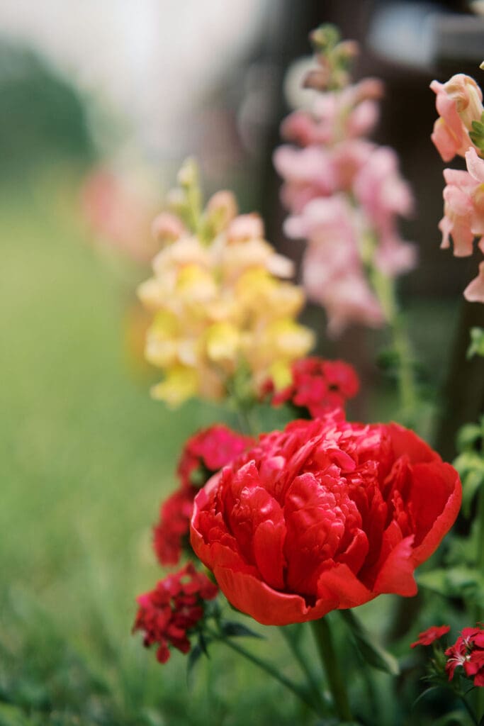 lose-up of blush and yellow flower arrangements for wedding ceremony