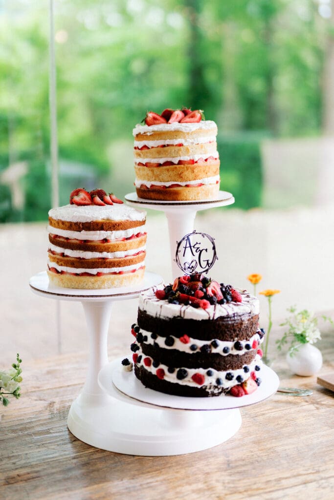 wedding cake setup at harpers vineyard wedding in townsend tennessee