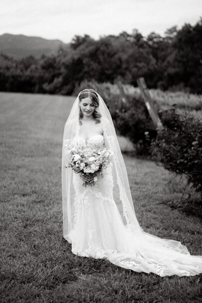 Romantic wedding portrait in Tennessee vineyard with rolling hills background.