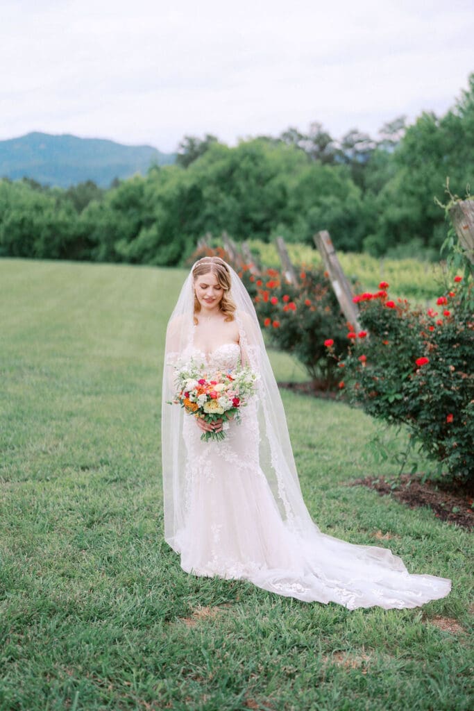 Romantic wedding portrait in Tennessee vineyard with rolling hills background.