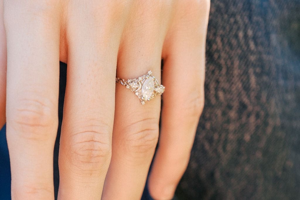 engagement ring at seven islands state birding park in knoxville tennessee