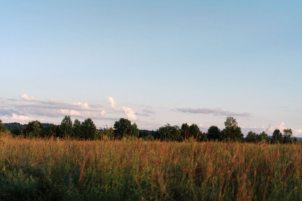 Field at sunset at seven islands state birding park in kodak tennessee